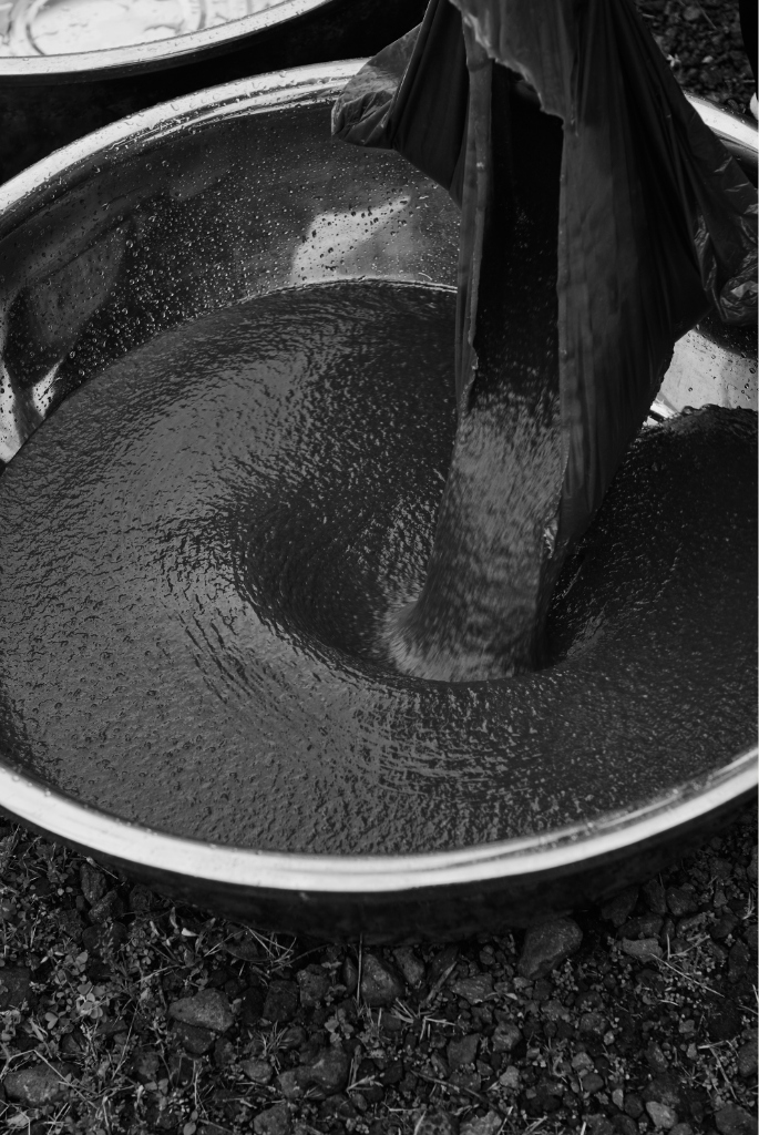 Fermentation