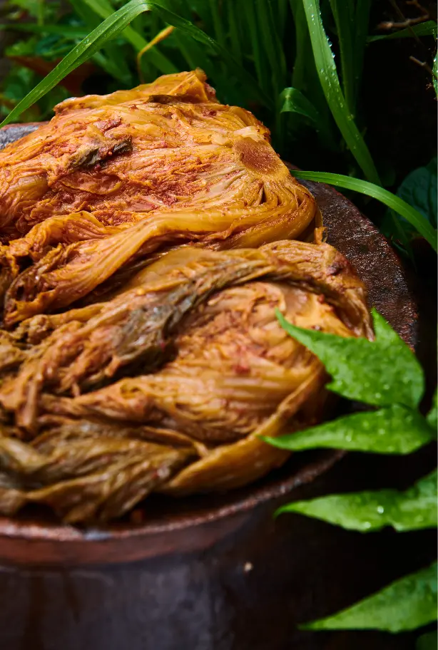 MUKJUNG Dish